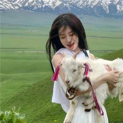 警察学校3：初为人师