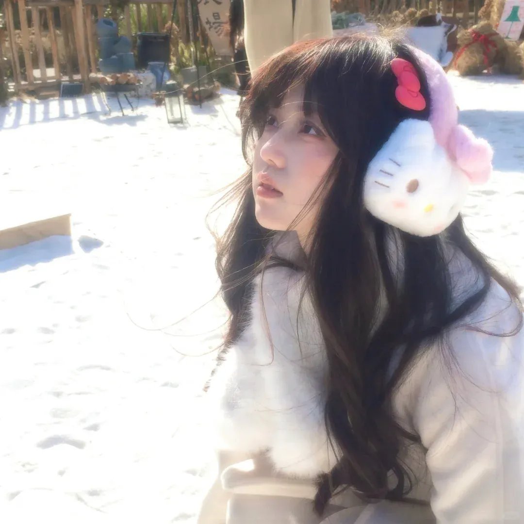 肥瑞的疯狂日记 第三季